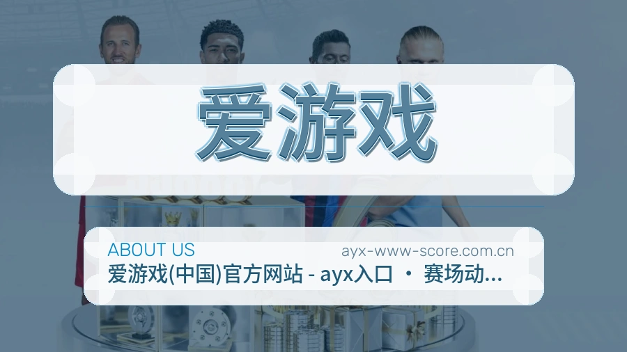 爱游戏关于我们